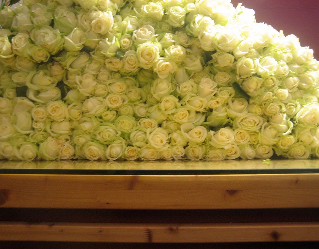 E.Bosco Wien - Schnittblumen Rosen Gelb